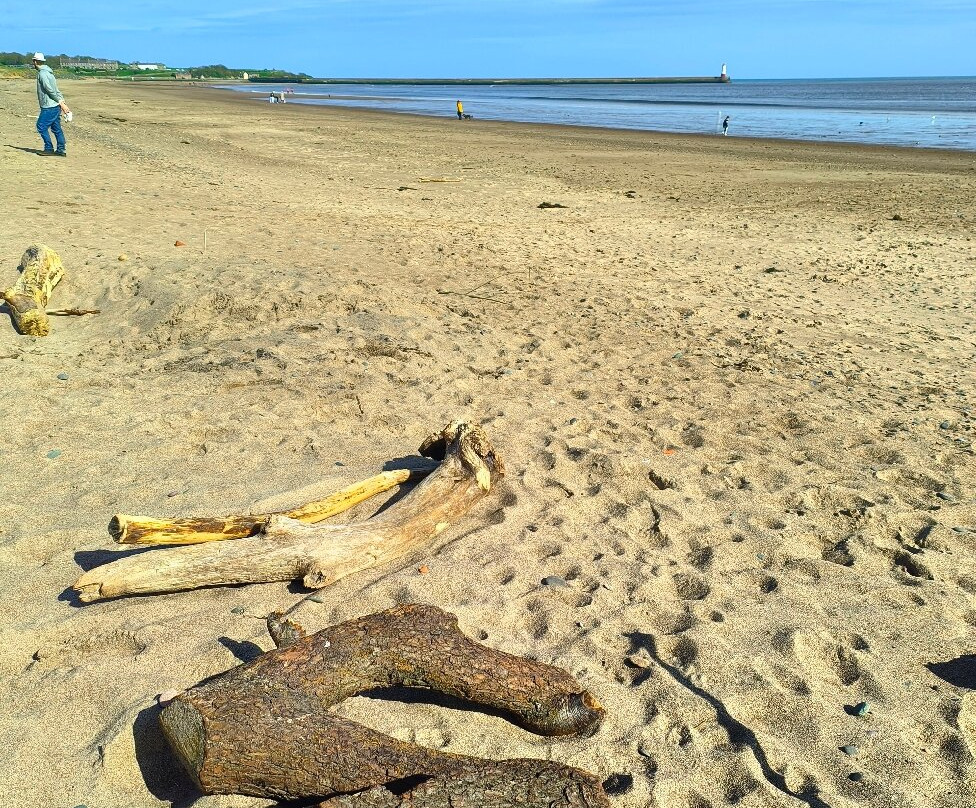 Spittal Beach-Spittal必去景点