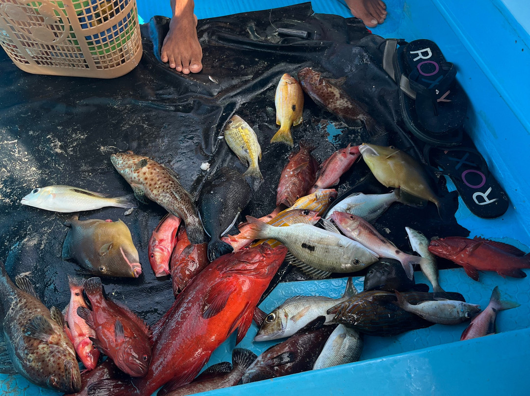 Passikudah Beach Boat Ride Service Pvt Ltd-卡尔库达必去景点