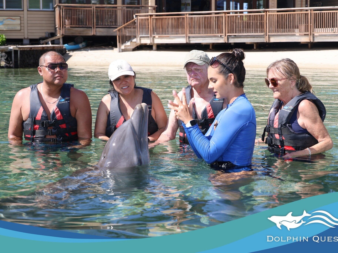 寻访海豚之旅-威可洛亚必去景点