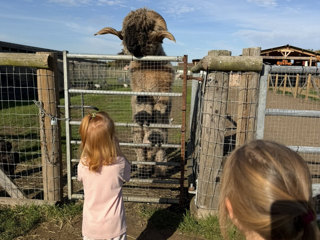 Milestone Ranch Country Park-唐克斯特必去景点