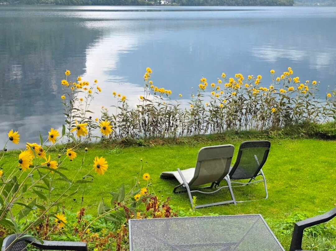 萨里斯特因旅馆主图