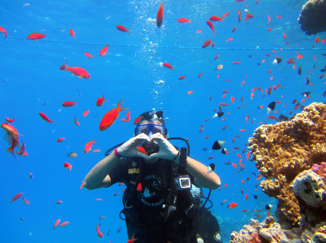 Zaga Travel-沙姆沙伊赫必去景点