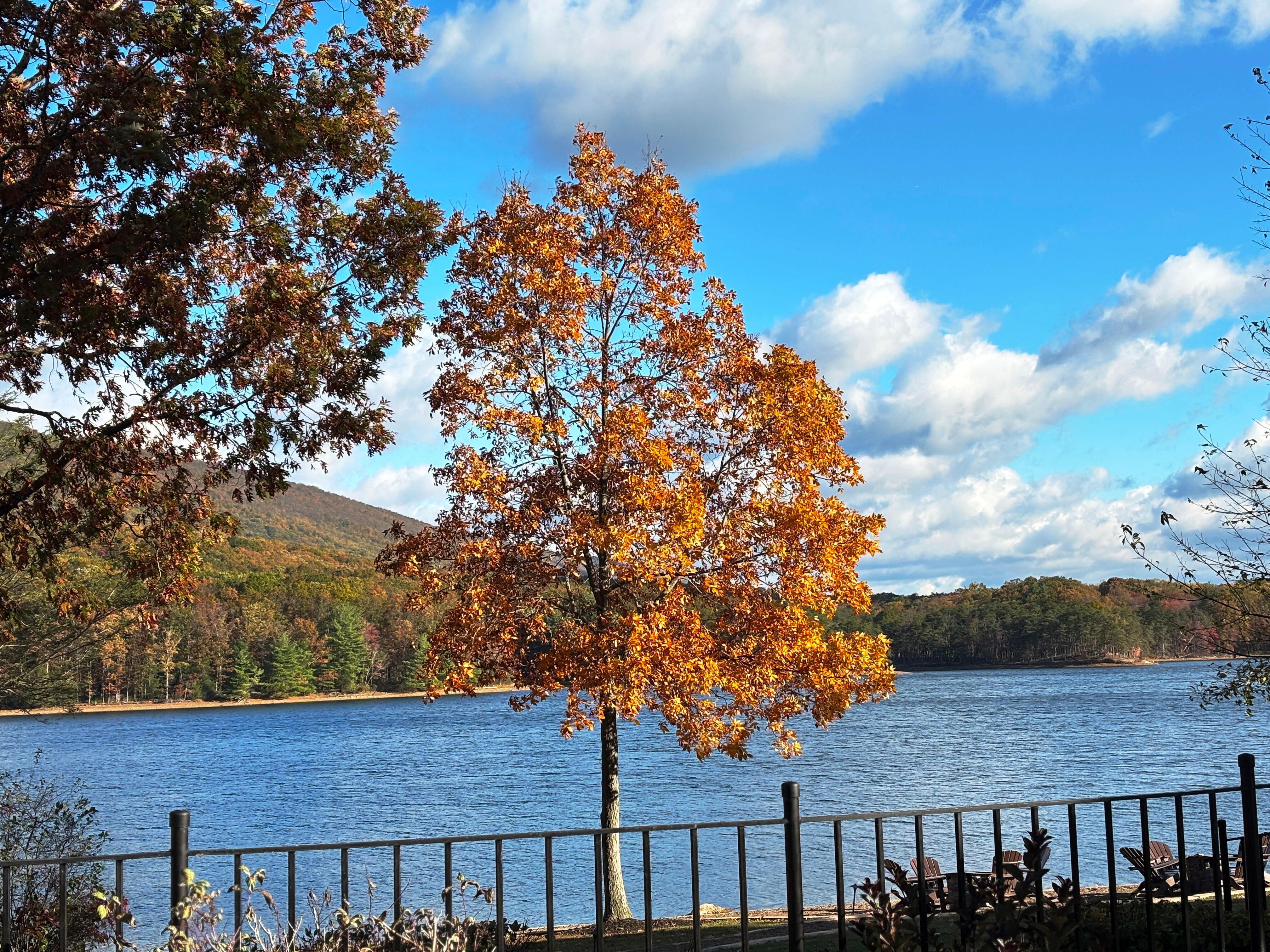罗基加普赌场 & 度假村-官方