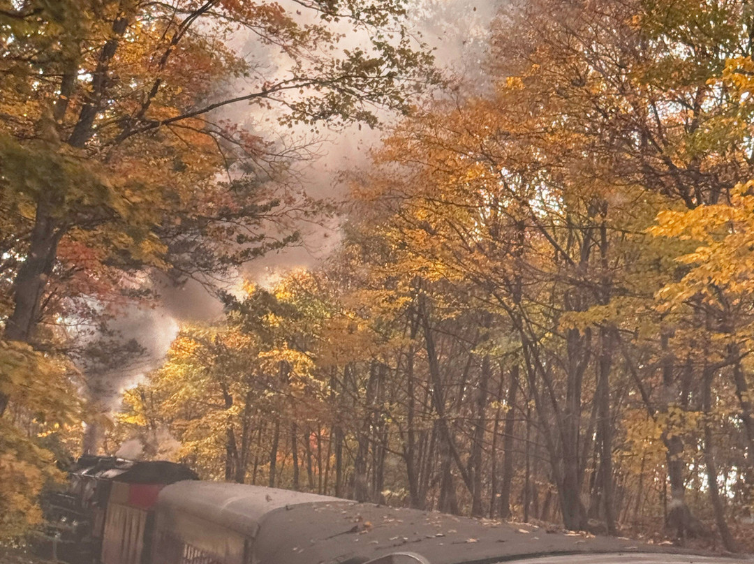 Western Maryland Scenic Railroad-Cumberland必去景点