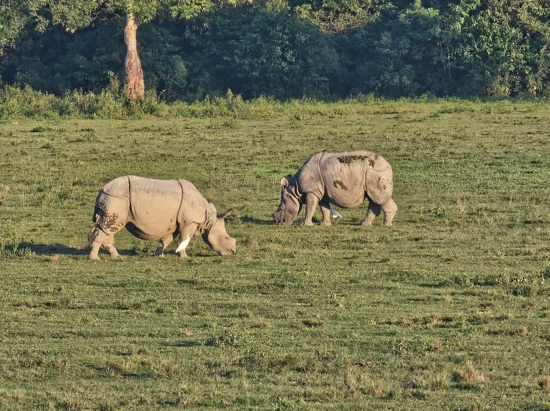 Trip Northeast-古瓦哈提必去景点