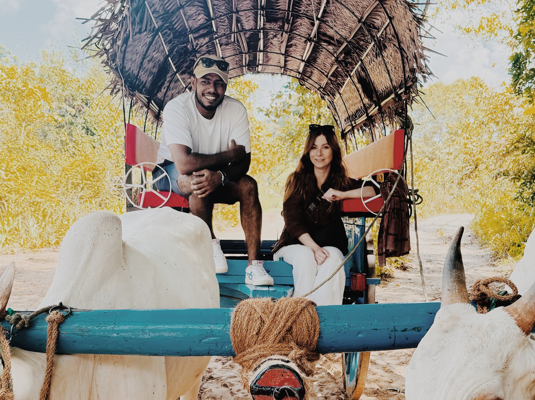 Rock Lanka Tours-Ja Ela必去景点