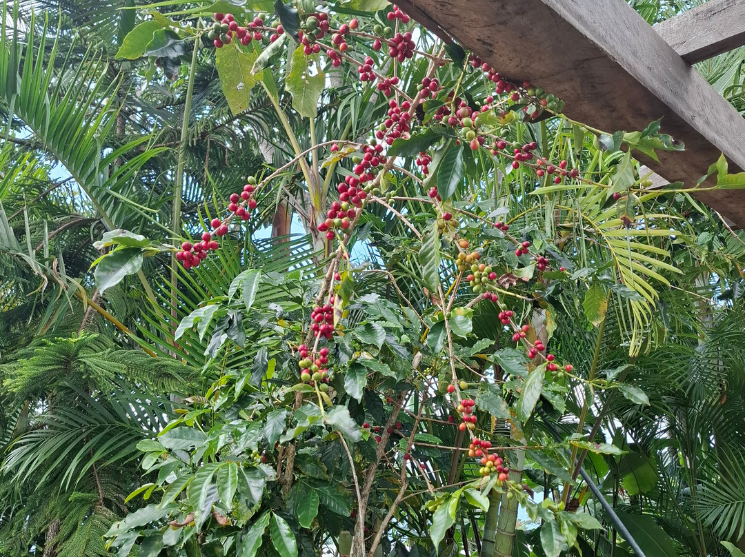 Aventura Mundo-瓦图尔科必去景点