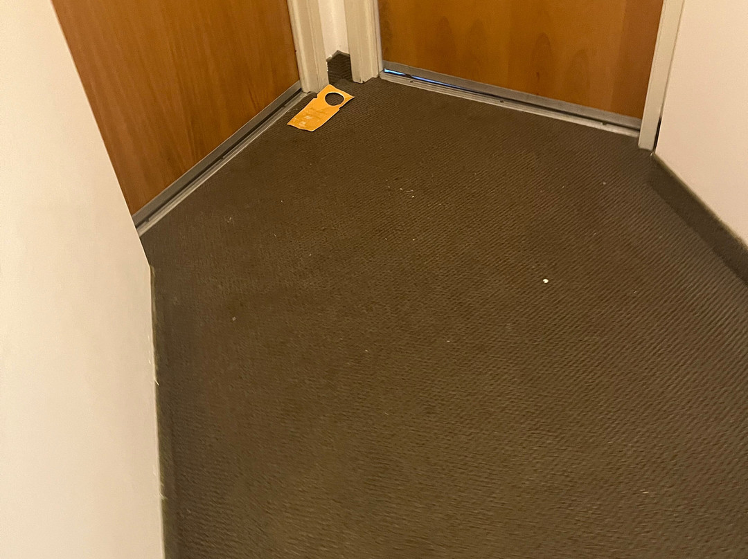 One Xalapa Las Animas主图