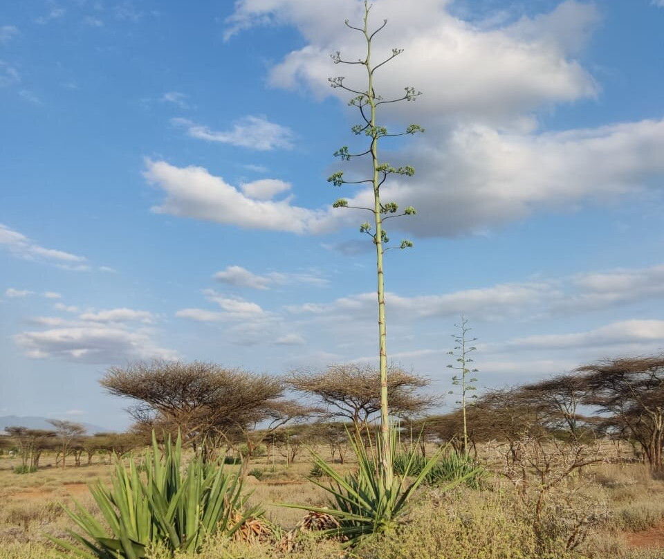 Routes for good-Samburu District必去景点