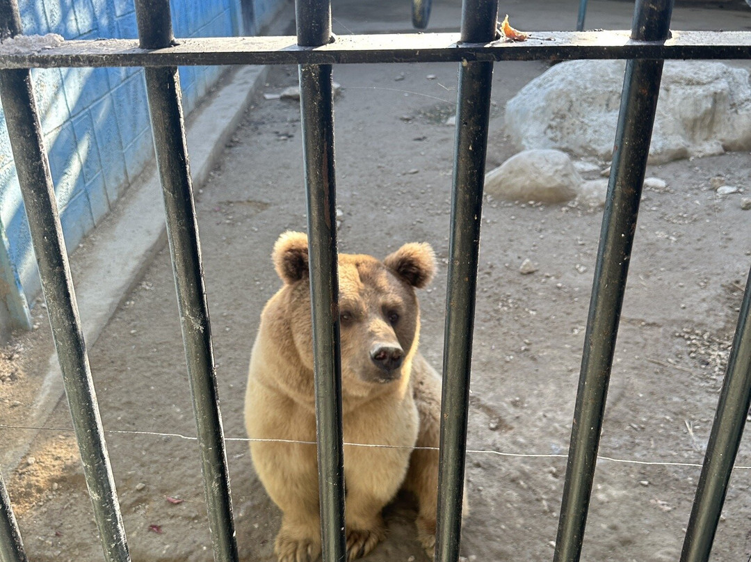 Berkem Aslan Diyari-Golbasi必去景点