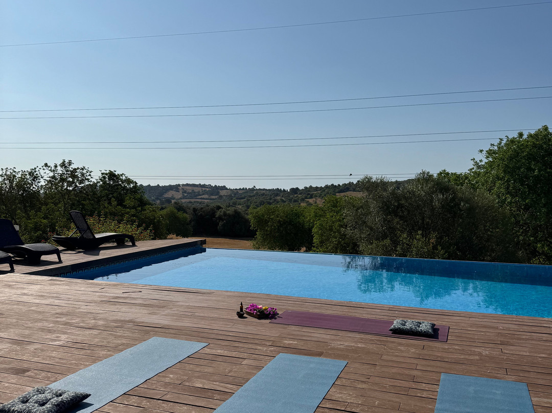 The Yoga Concept-克里斯托港必去景点