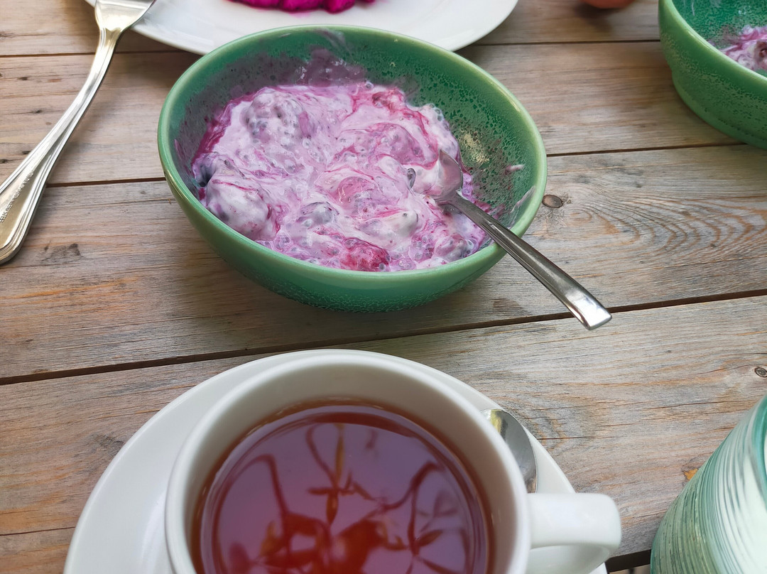 Sugiras Living主图