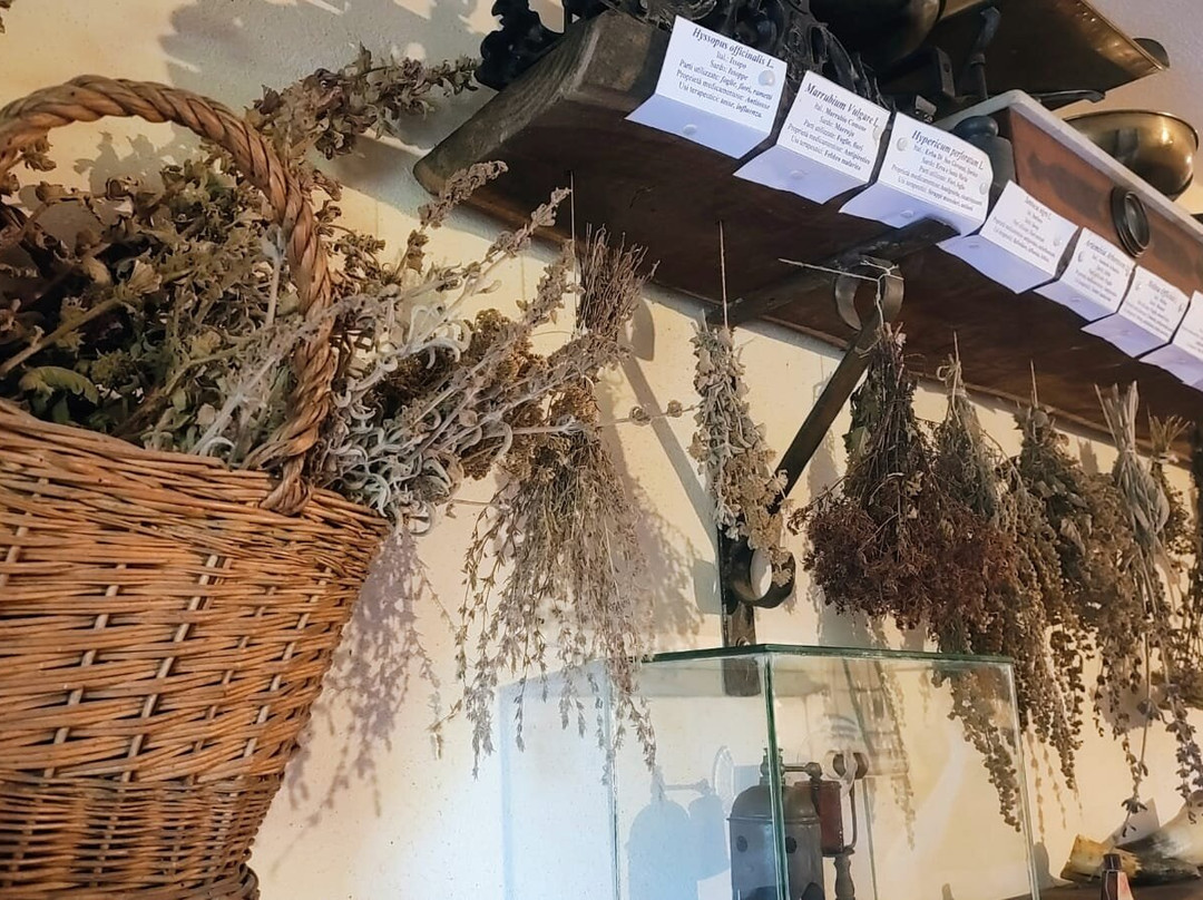 Parco Museo S'Abba Frisca-Dorgali必去景点