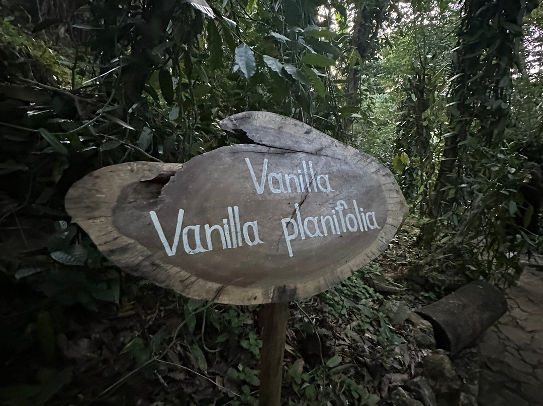 Ella Spice Garden-埃勒必去景点