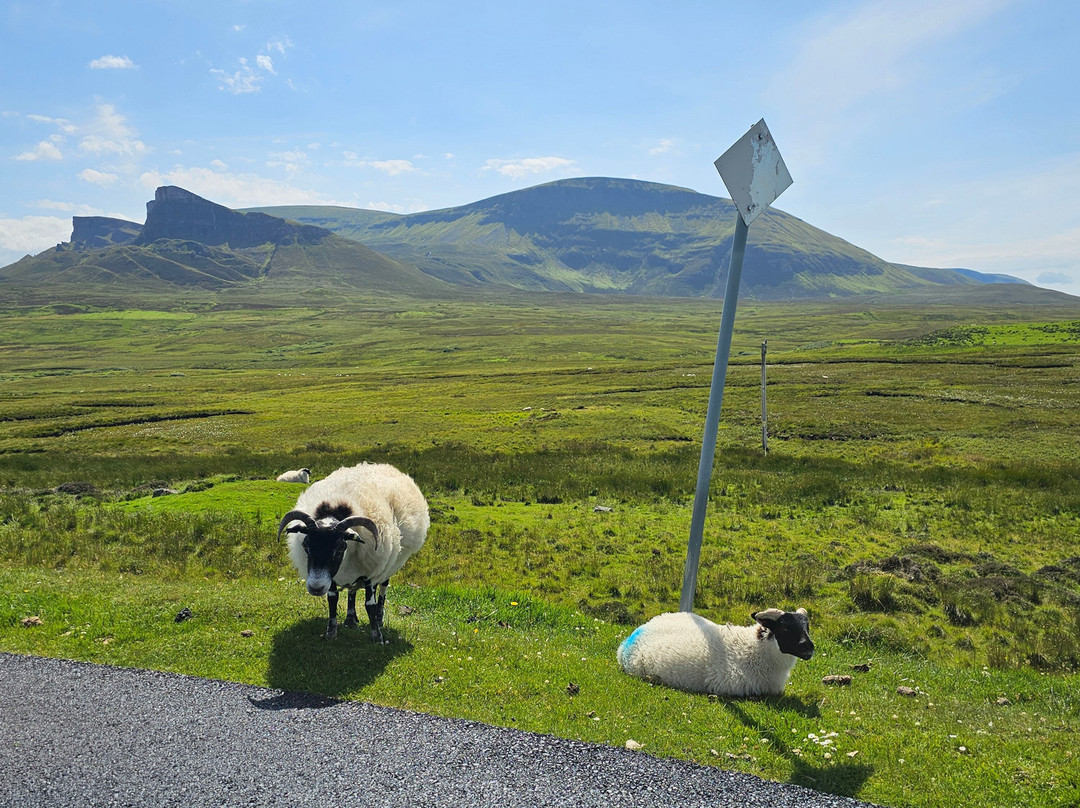 Duntulm Castle-Duntulm必去景点