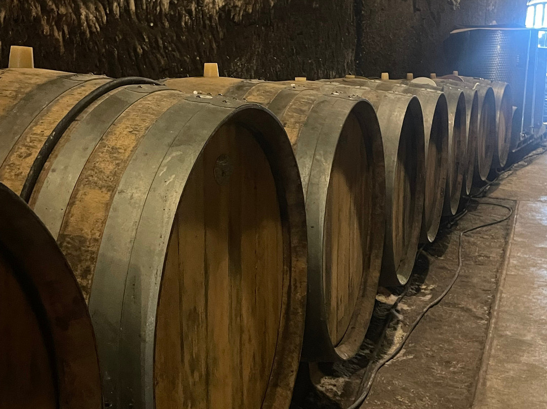 Caves Cathelineau-Chancay必去景点