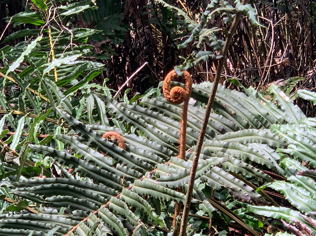 Termas del sol-Cochamo必去景点