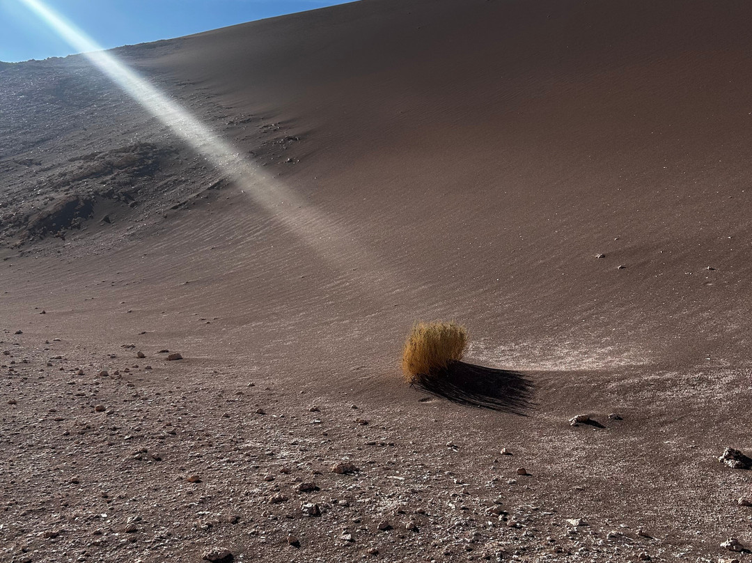 Sileia Tours-圣佩德罗-德阿塔卡马必去景点