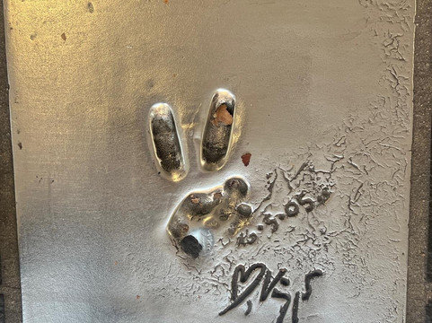 The Path of the Stars-戛纳必去景点