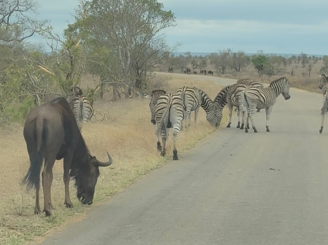 GAP Tours & Transfers-雾观必去景点