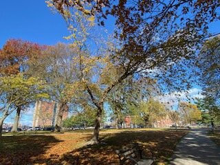 Lincoln Park-波特兰必去景点