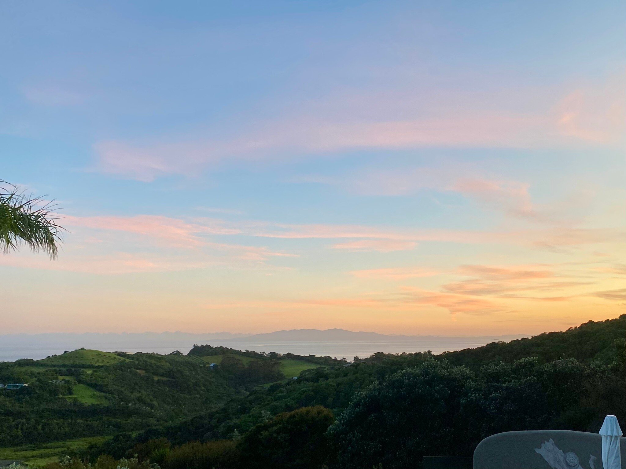 迪拉莫尔酒店-官方