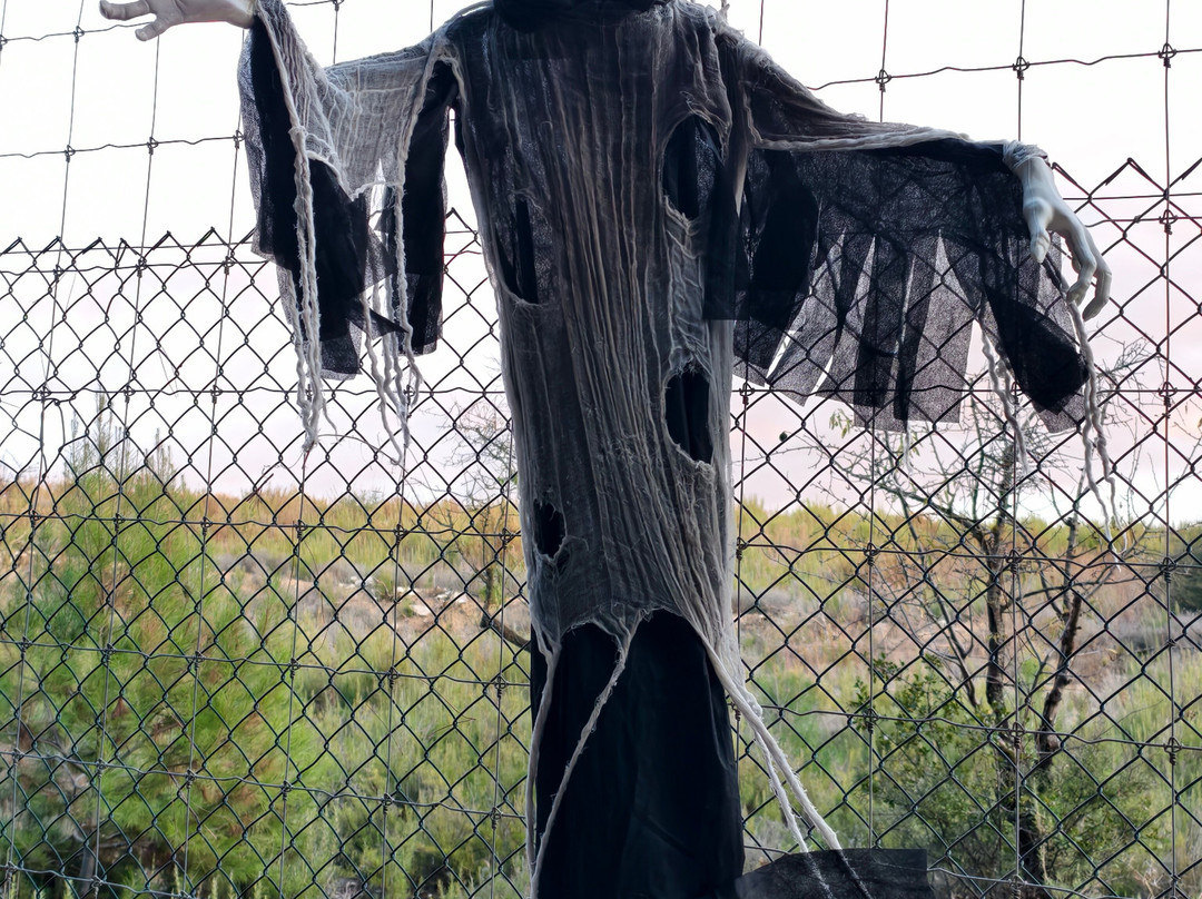 Sendaviva-Arguedas必去景点