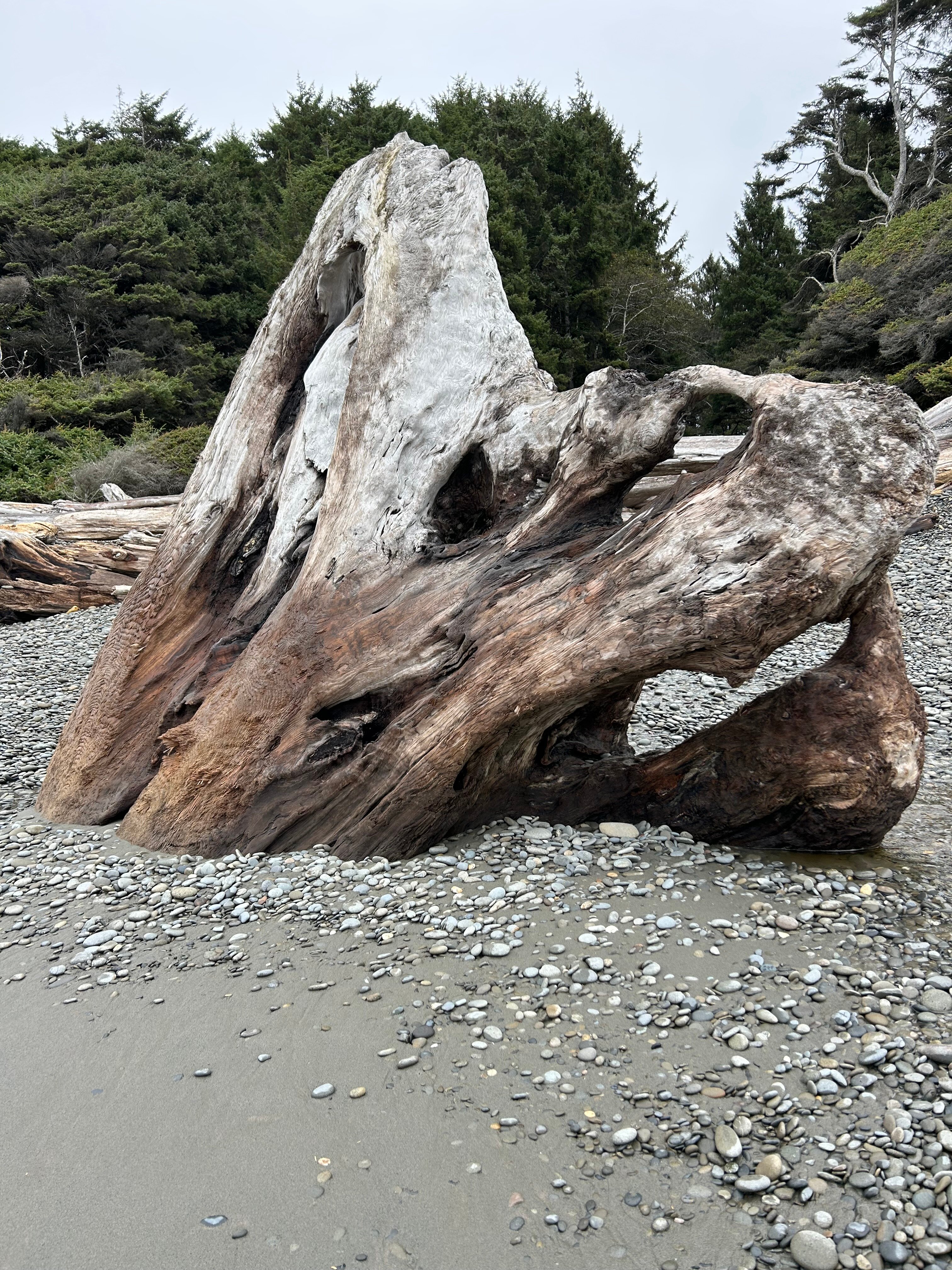 卡拉洛奇旅馆-官方