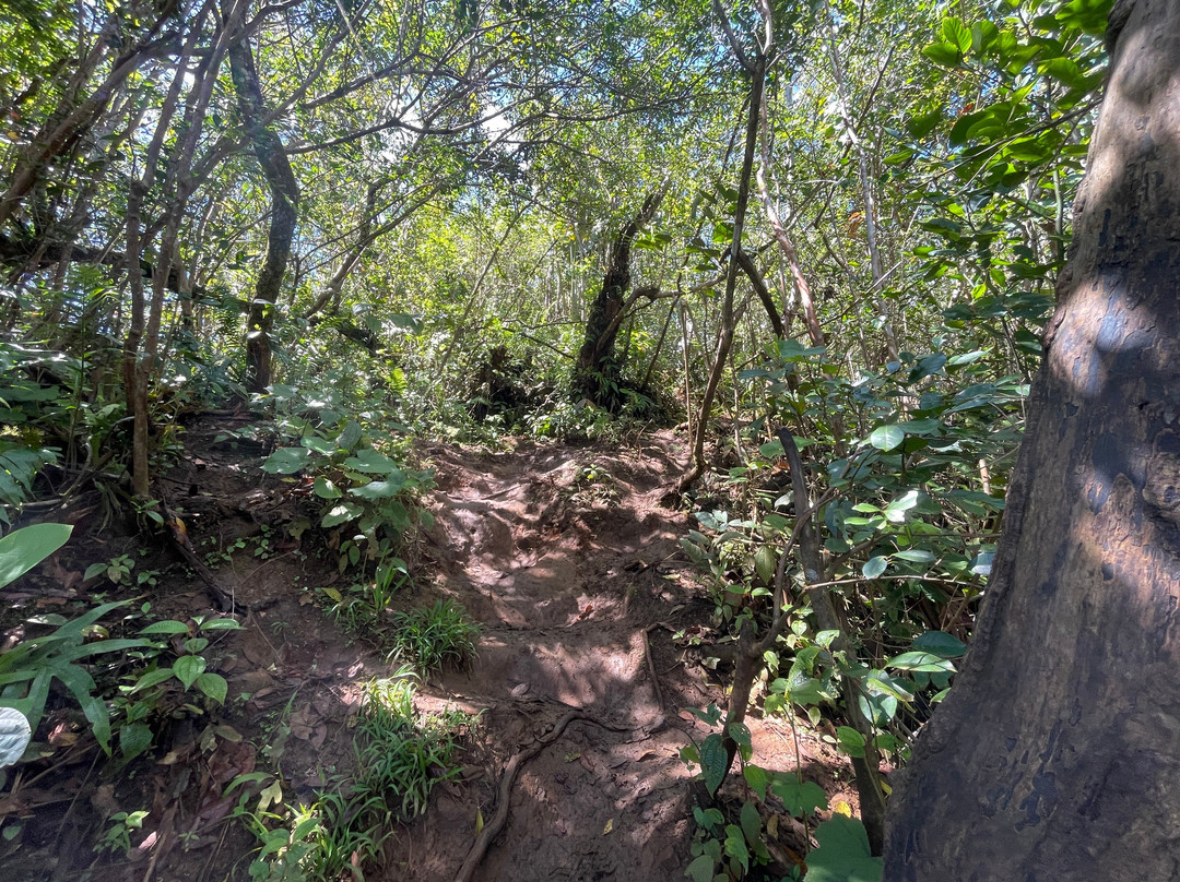 South Adventure Experience Ltd-钱米格兰尼尔必去景点