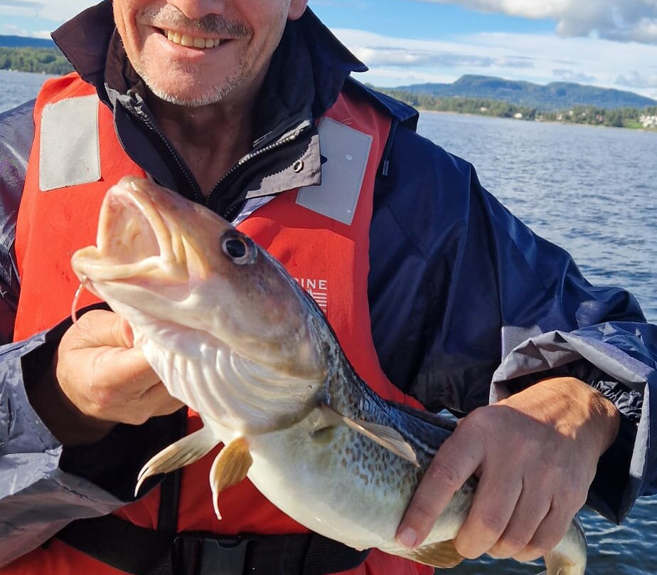 Oslo Fjord Boat Fishing-奥斯陆必去景点