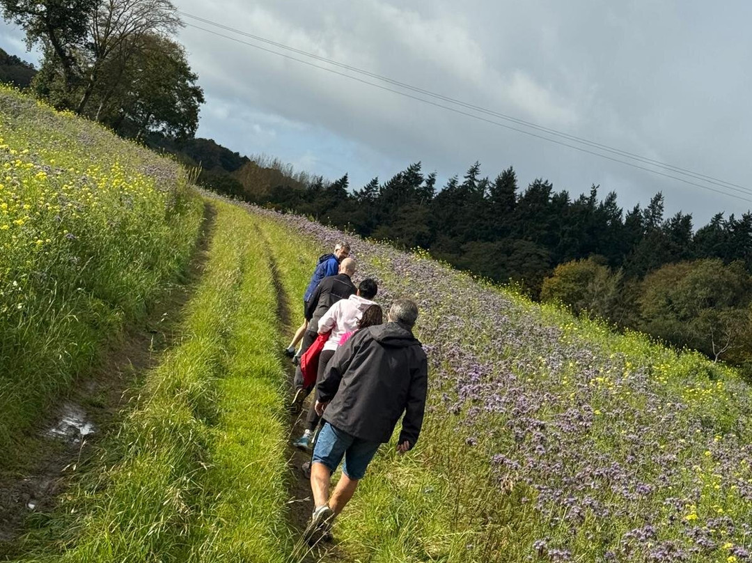 Les Hervelines主图