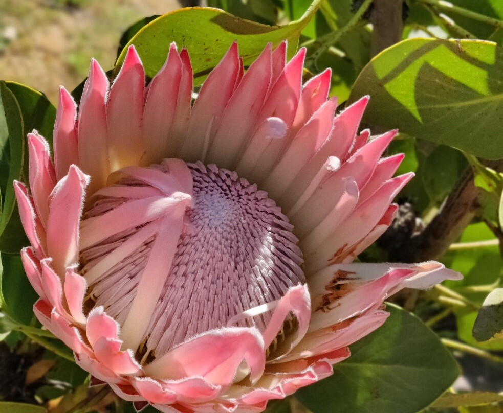 Eikehof-法兰舒克必去景点