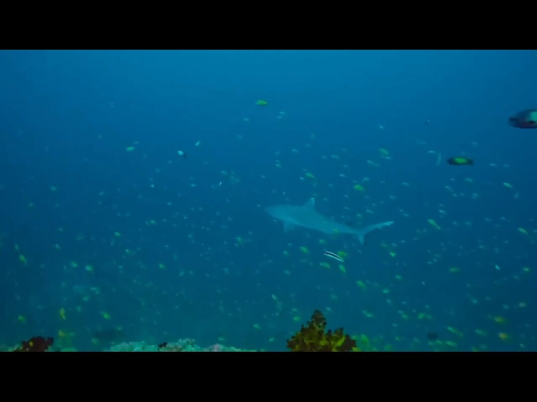 Macana Maldives-皮斯托亚必去景点