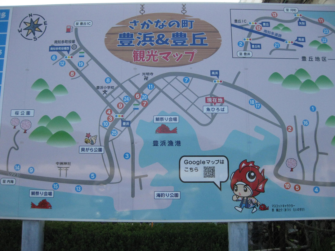 Toyohama Sakana Hiroba Fish Plaza-南知多町必去景点