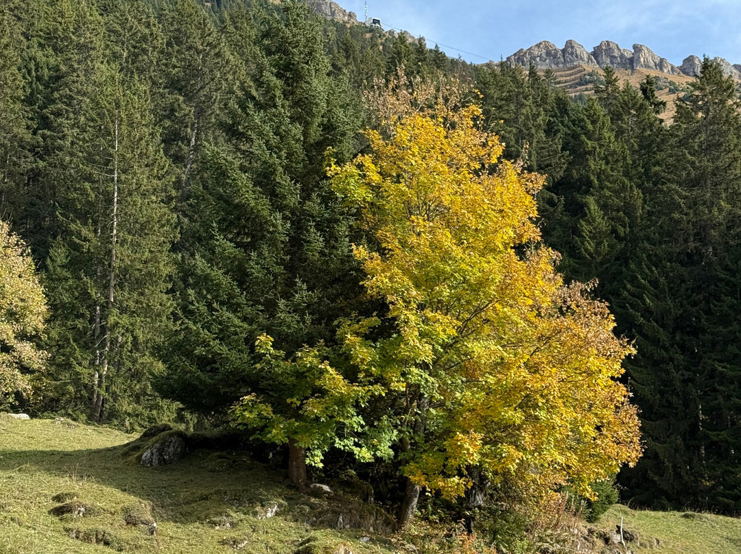 Maennlichen-格林德瓦必去景点