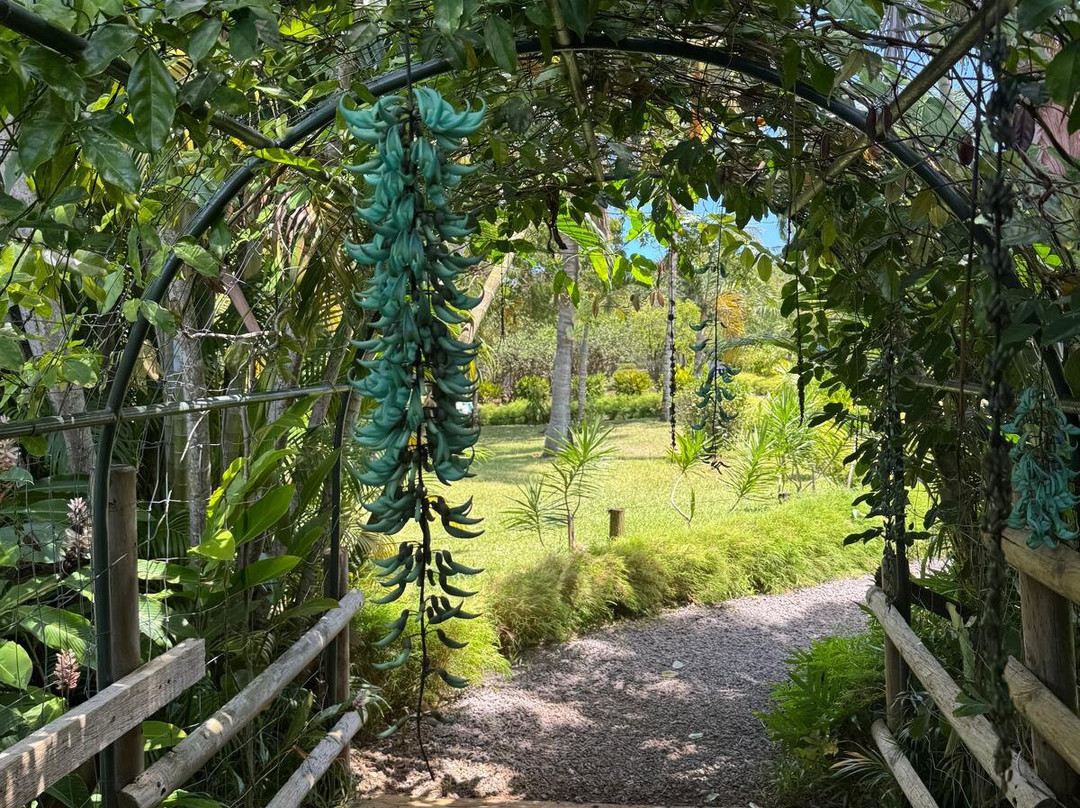 Rhumerie de Saint Aubin-Saint Aubin必去景点