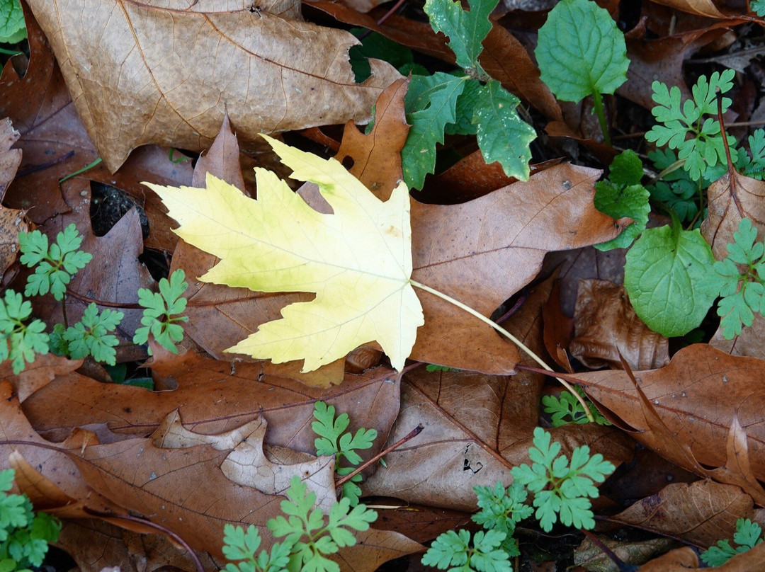 Landgoed Schovenhorst-Putten必去景点