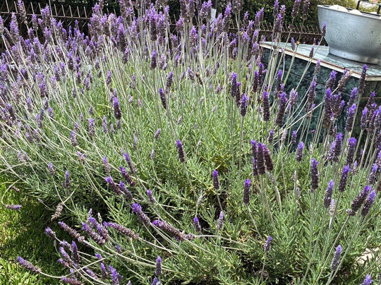 TaxiJames-坎普斯－杜若尔当必去景点