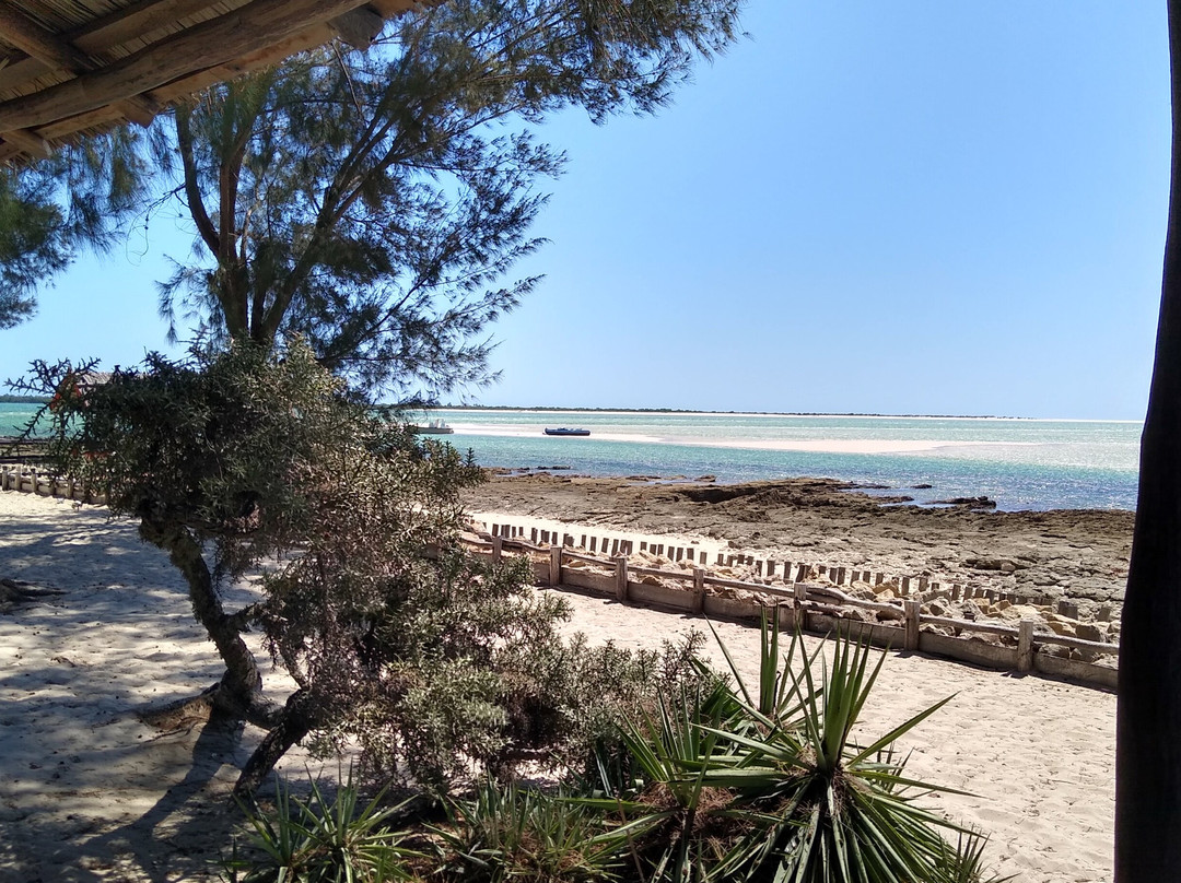 Ecolodge Du Menabe主图