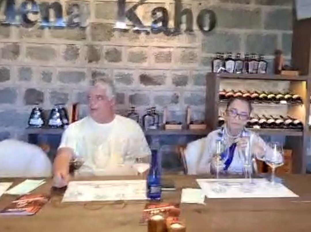 Vinicola Mena Kaho-本图贡萨尔维斯必去景点