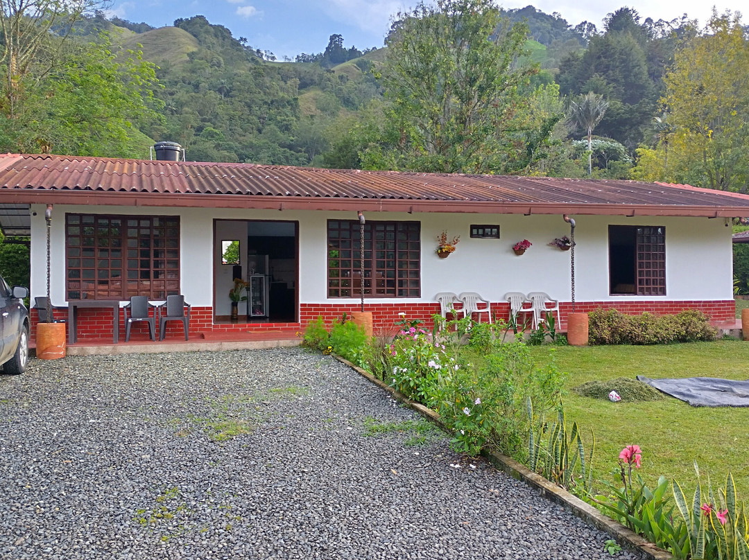 Paraiso Cocora主图