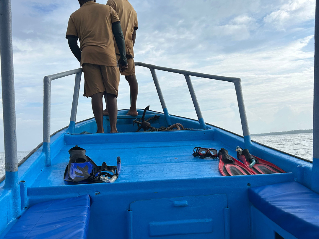 Mafia Whale Shark Tours-Kilindoni必去景点