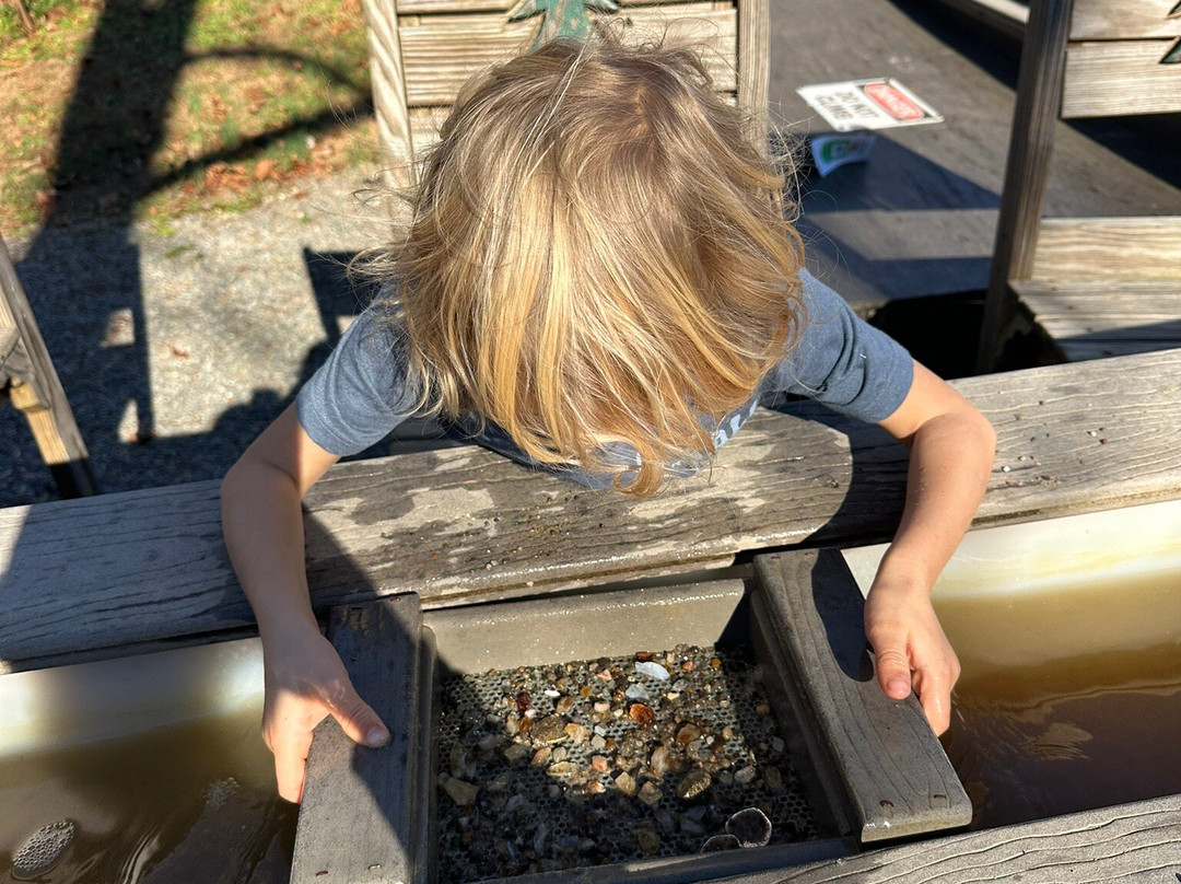 Byrds Branch Gem Mining-Elkin必去景点
