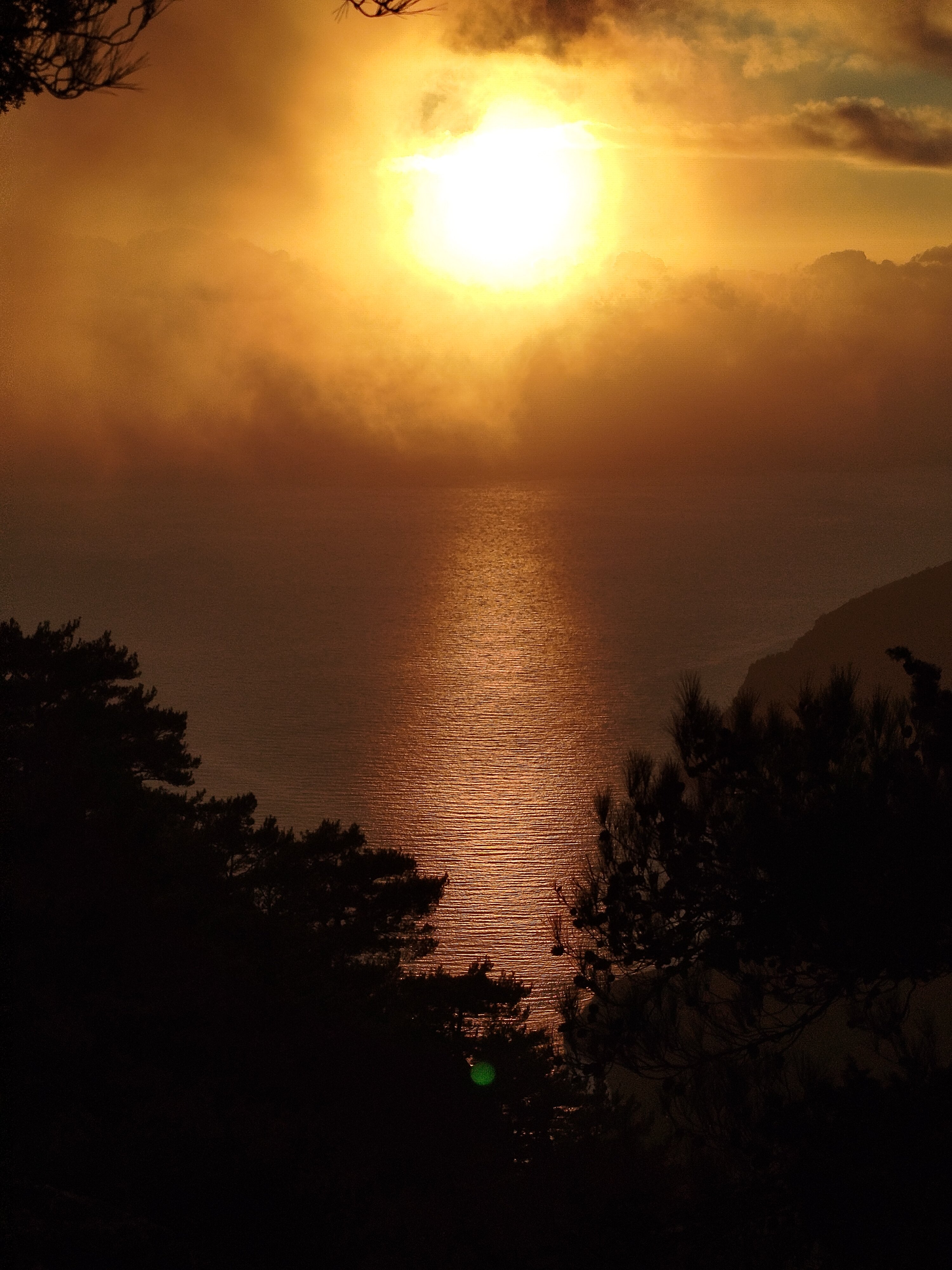 Guesthouse Alonia-官方