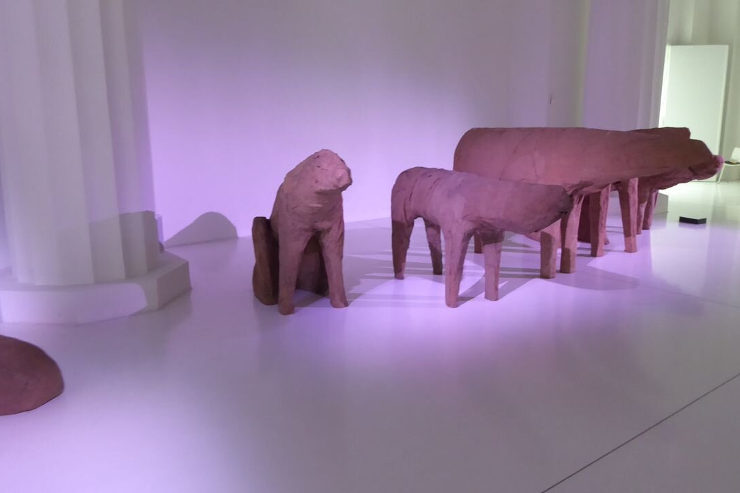 Four Domes Pavilion-弗罗茨瓦夫必去景点