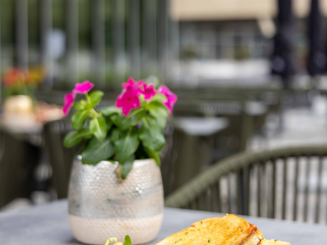 Brasserie Elmen (Olm)