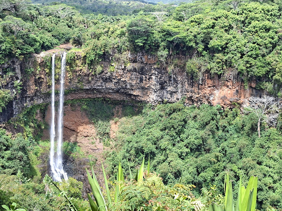 Nature Trails Mauritius-卡特勒博尔纳必去景点