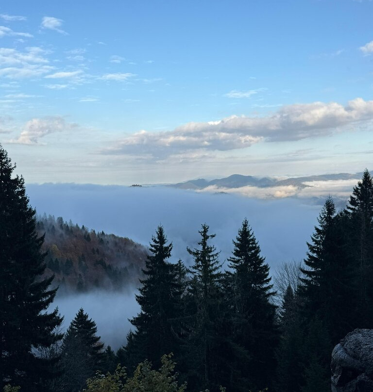 Kulakkaya Yaylasi-Giresun必去景点