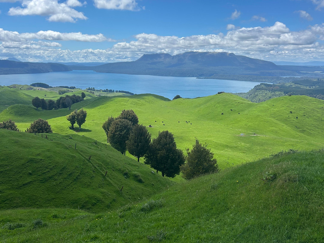 Horse Trekking Lake Okareka-罗托鲁瓦必去景点