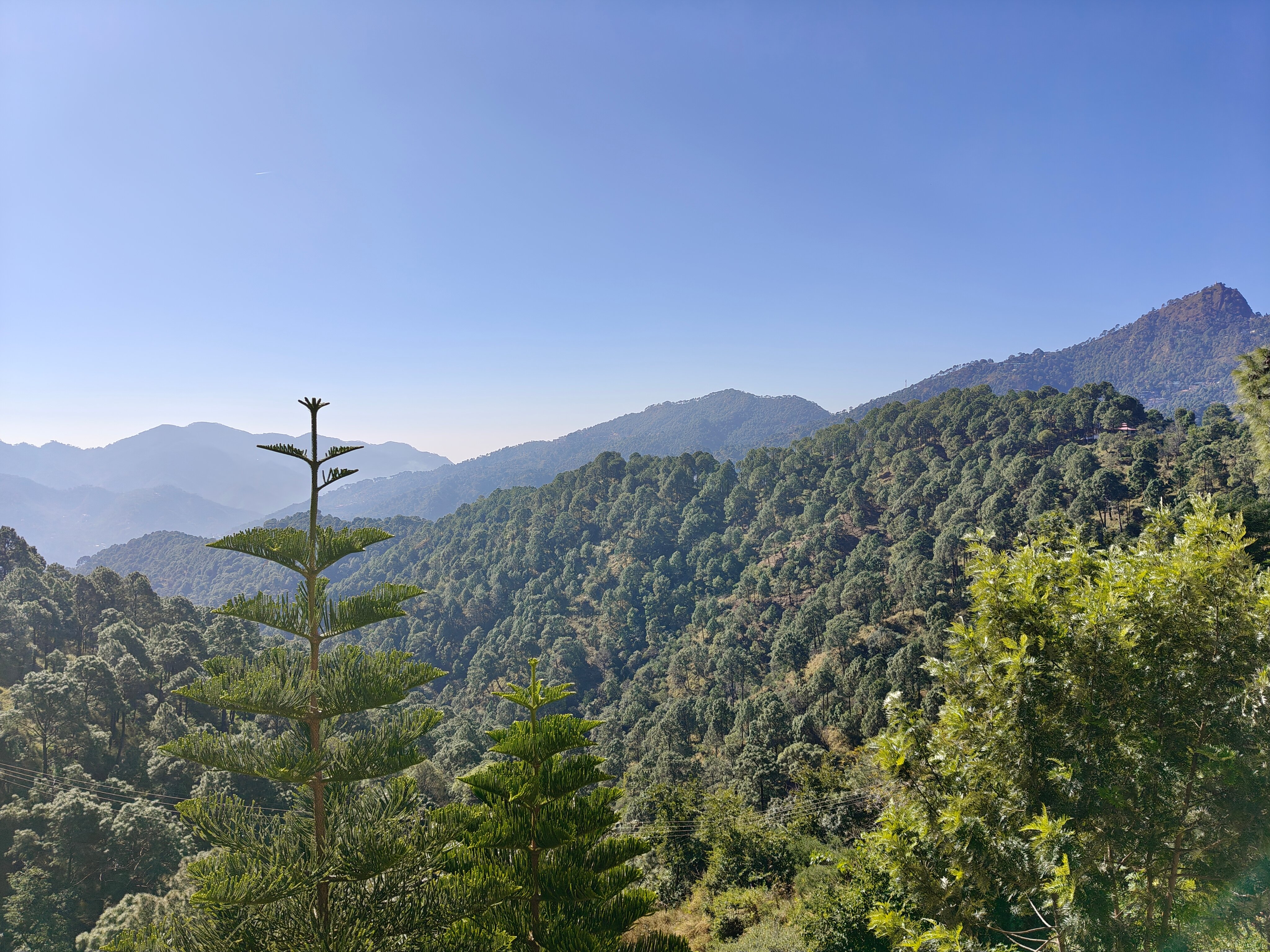 Forest Ville Hotel & Resort-官方